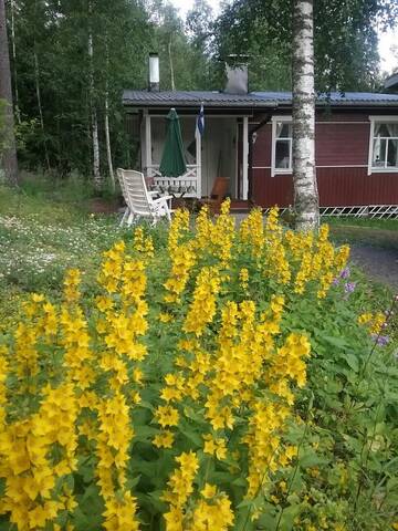 Фотографии Дома для отпуска Summer Cottage Askola near Porvoo г. Askola (Финляндия) №5 Фото Дома для отпуска Summer Cottage Askola near Porvoo г. Askola 5