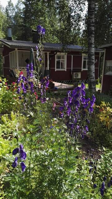 Фотографии Дома для отпуска Summer Cottage Askola near Porvoo г. Askola (Финляндия) №1 Фото Дома для отпуска Summer Cottage Askola near Porvoo г. Askola 1