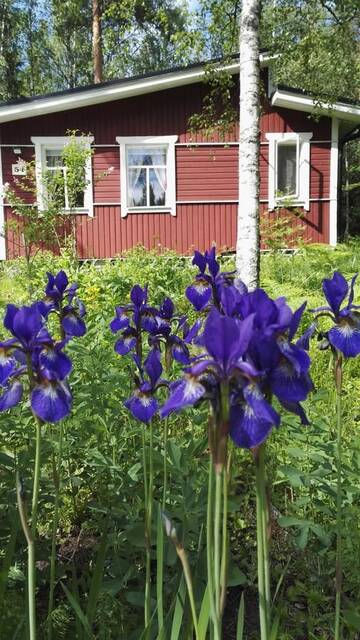 Фотографии Дома для отпуска Summer Cottage Askola near Porvoo г. Askola (Финляндия) №2 Фото Дома для отпуска Summer Cottage Askola near Porvoo г. Askola 2